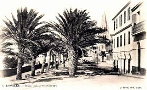 La Calle - Promenade des Corailleurs